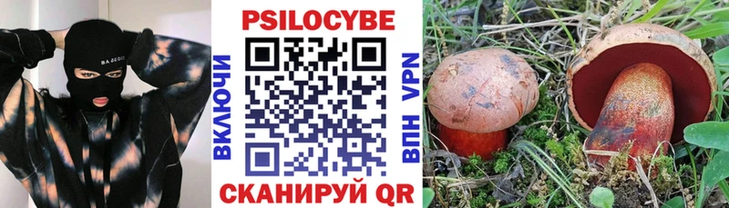 Псилоцибиновые грибы мухоморы  Шатура 