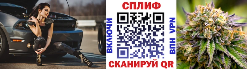 Бошки марихуана гибрид  купить наркоту  Шатура 
